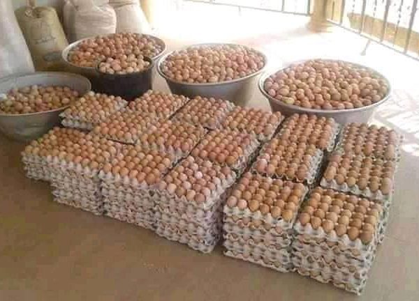 Eggs