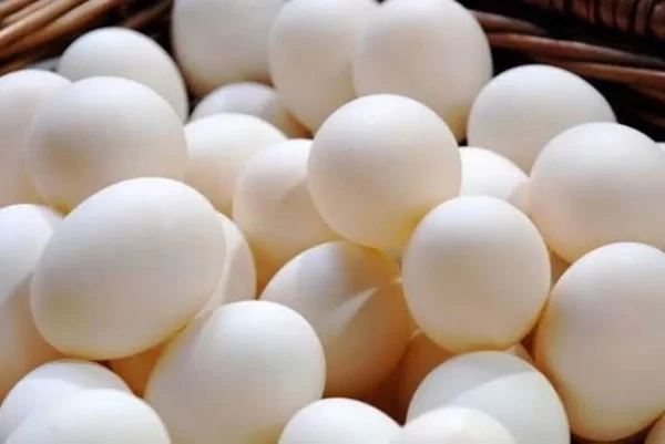 Eggs